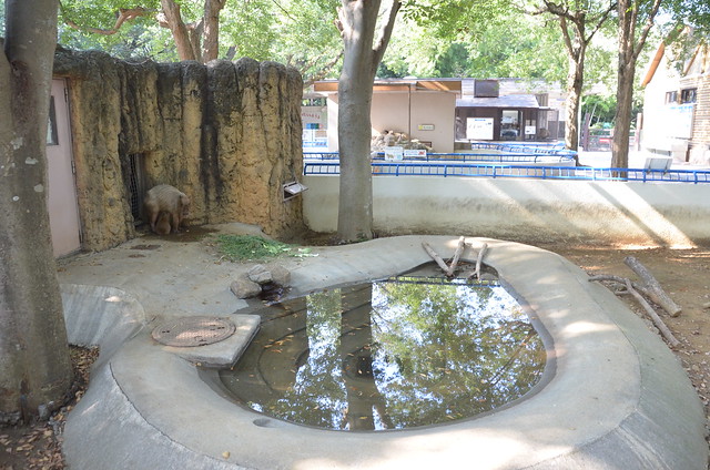 夏の青春18きっぷの旅 市川市動植物園&千葉市動物公園
