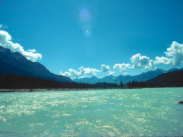 Yoho River, British Columbia, August 1981