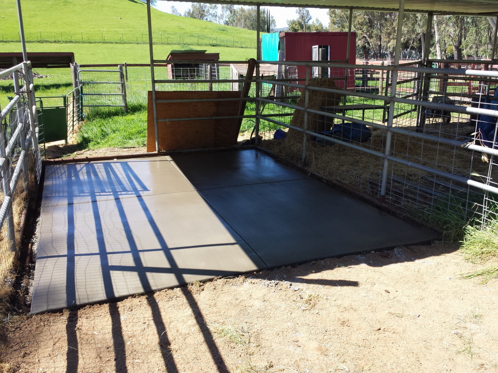 Concrete Slab For Shearing Pen In Vacaville