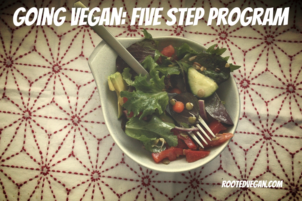 five steps to going vegan