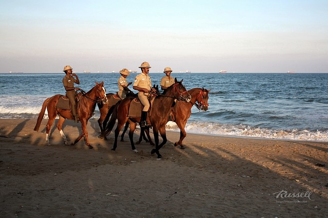 Horseback Patrol I