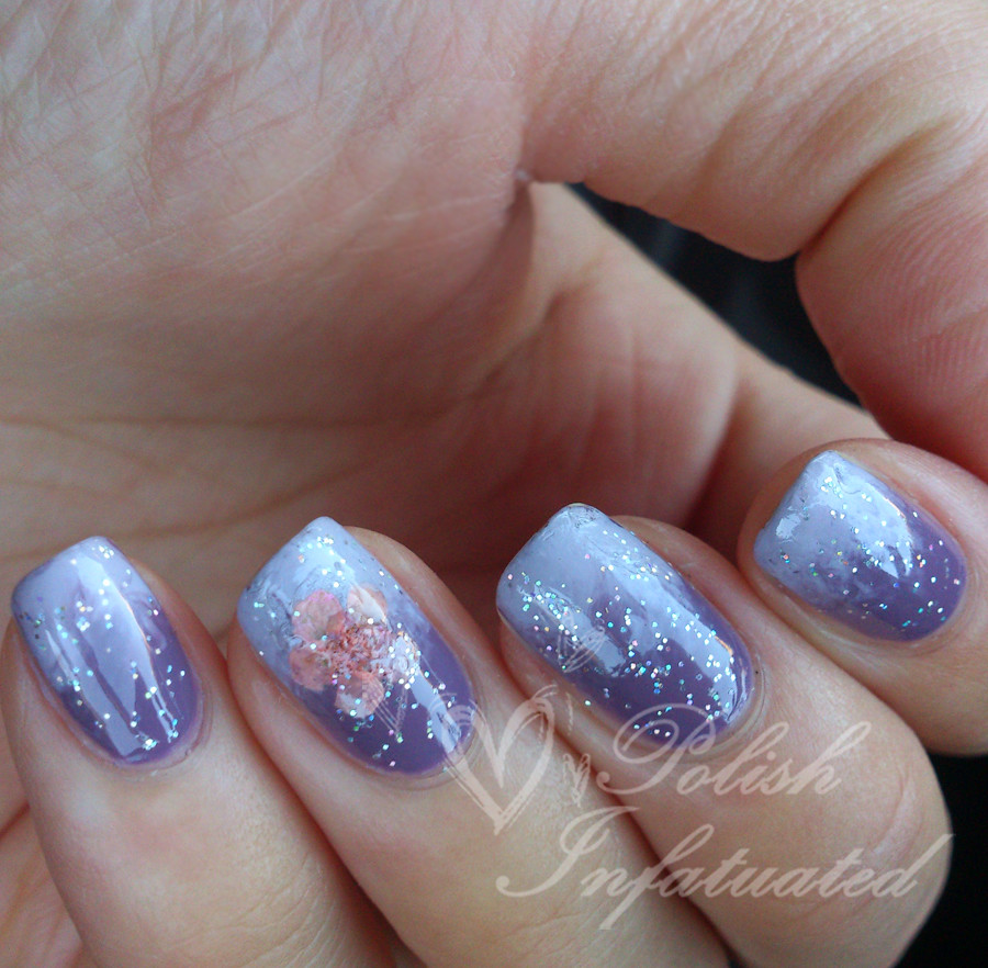 purple gradient with dried flower