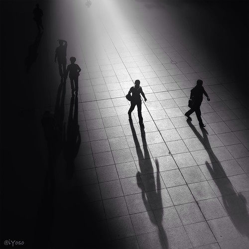 Chasing shadows by y05