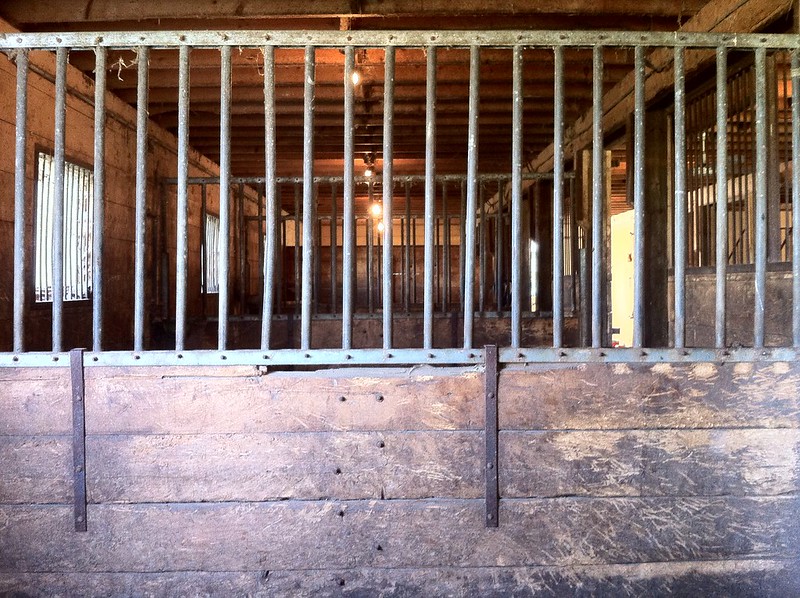 box stalls horse barn