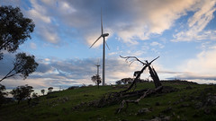 waterloo wind farm