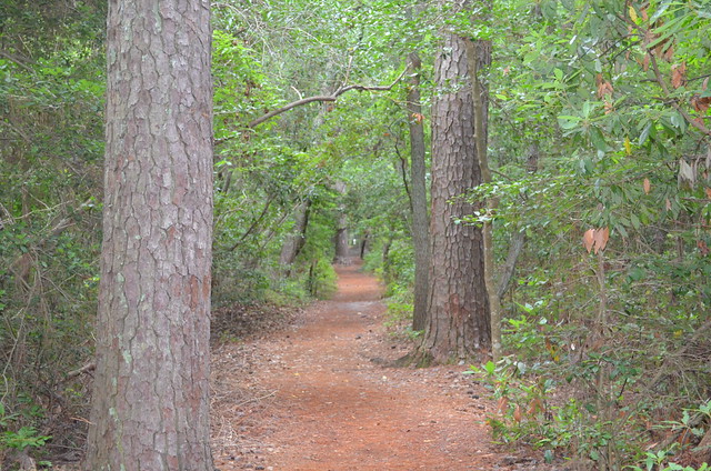 After visiting the Trail Center, head outdoors onto some of the park's 19 miles of trails.