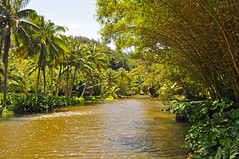 Allerton Garden at the National Tropical Botanic Gardens - Kauai, Hawaii