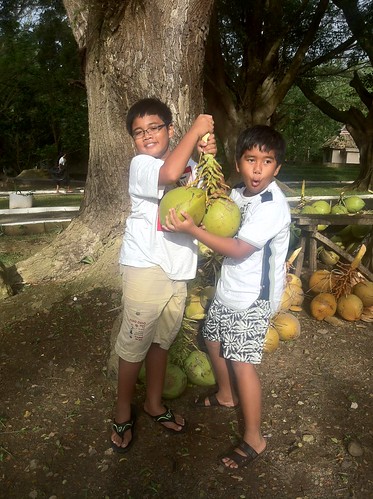 Hector dan Bona Membawa buah kelapa di Way Belerang