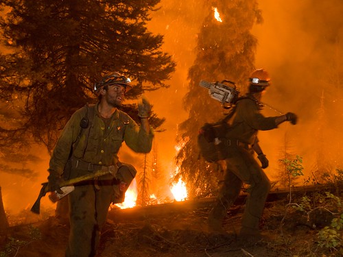 Two members of the Idaho City Hotshots work on the Springs Fire on the Boise National Forest, August, 2012. Hotshot crews are the best of the best of wildland fire fighters.  They have been extensively trained to fight fires in remote areas with little or no logistical support in the most demanding conditions. (US Forest Service photo/Kari Greer)