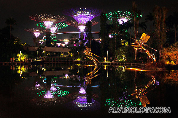 Gardens by the Bay at night 