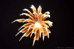 Chatsworth House Fireworks