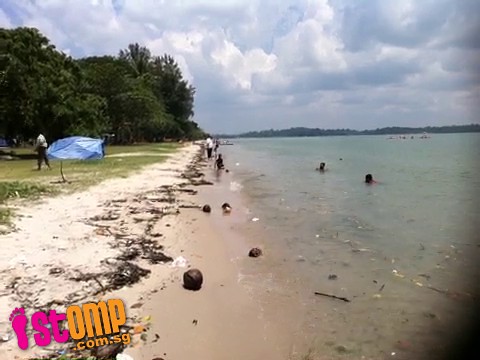 Beach-goer can't enjoy stroll along Changi shoreline as it's strewn with rubbish -data
