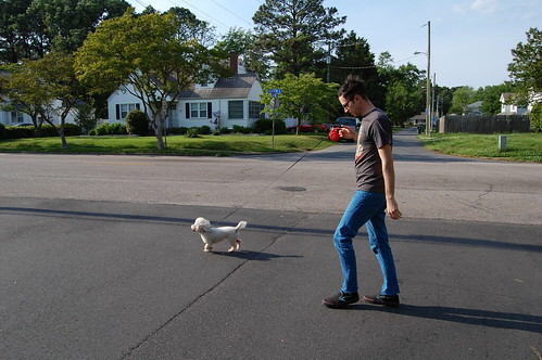 Walking the Dog (6)(May 10 2013)