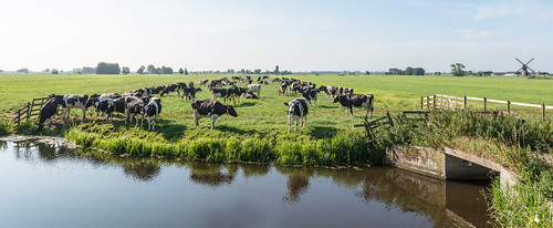 Dutch polder landscape - Hollands polderlandschap by RuudMorijn
