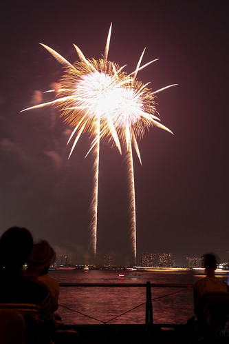 「昇太朴付 芯入 夕映えの椰子」 by 青木昭夫 東京湾大華火 2013 Tokyo Bay Grand Fireworks