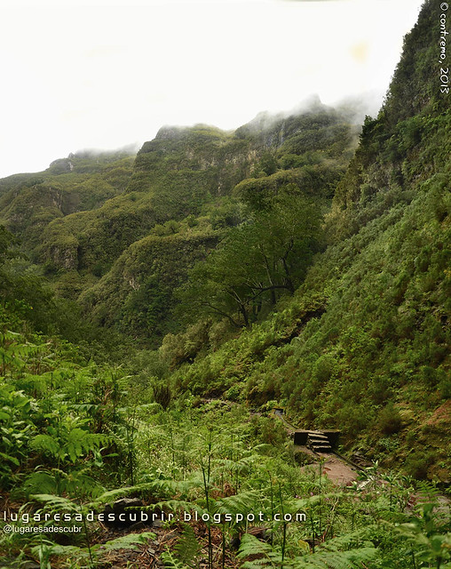 Vista do Caldeirão do Inferno (Santana, Madeira)