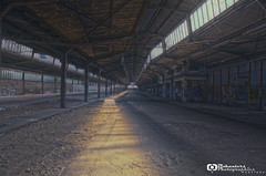 URBEX : German Ghost Railway Station
