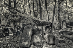 Necrópolis de Varsovia - Warszawskie cmentarze