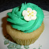 Vegan-illa Cupcake from Fairy Cake Bakery