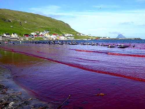 photo of a beach flooded with blood
