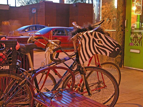 zebra bikes MayDay 2012