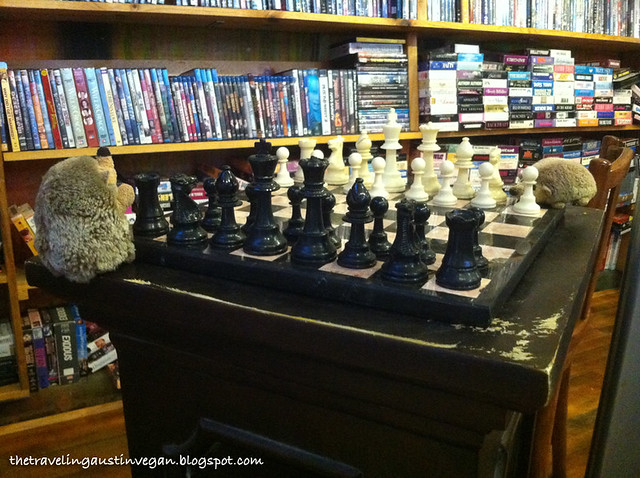 IMG_4139 Hedgehogs Play Chess 1