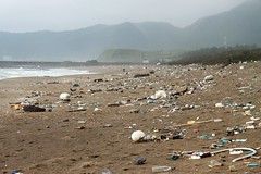 金山海岸的垃圾