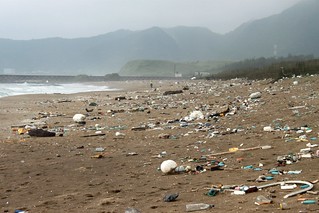 2013年初，台灣環境資訊協會至國聖埔海灘場勘實照
