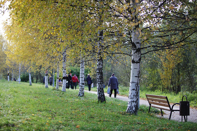 Benches_in_the_autumn_2013(6)