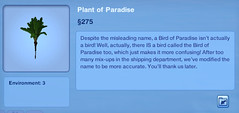 Plant of Paradise