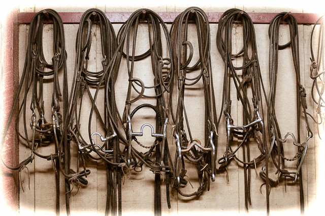 Bits and Bridles