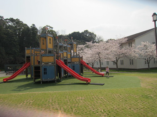 playground in spring