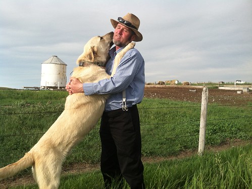 Ben Hofer, Rockport Colony Secretary, with a Kangal. NWRC researchers are studying the potential of these livestock guard animals for use where large predators include wolves and grizzly bear. The Kangal breed is gentle and trustworthy with their people or animals, but if the need arises they can become very protective. (USDA Photo by Under Secretary Edward Avalos)
