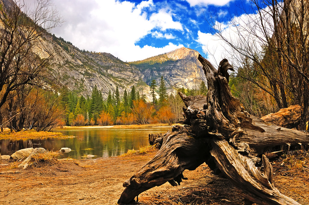 My best photos of 2012: Downed tree by Mirror Lake