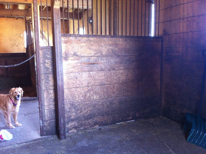 box stall horse barn