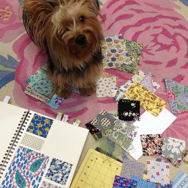 Percy has been helping me make a swatch book.