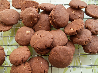 IMG_2517 Hazelnut Chocolate Biscuits