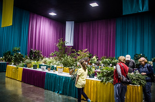 Horticulture Display