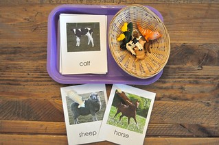 Farm Animals Cards and Figures