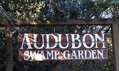 Audubon Swamp Garden Magnolia Gardens Charleston SC
