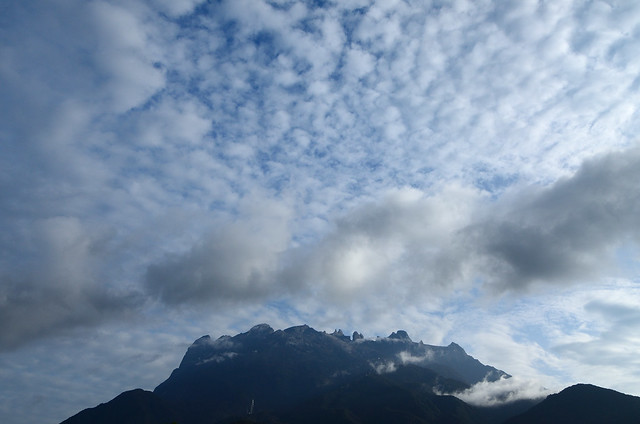 2012.03.30 Mt. Kinabalu Park