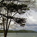 Otsego Lake Facing North West