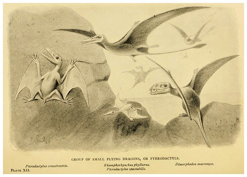 008- Extinct monsters…1896- H. N. Hutchinson