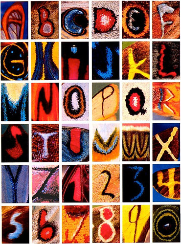 Alfabeto mariposa por Kjell Sandved