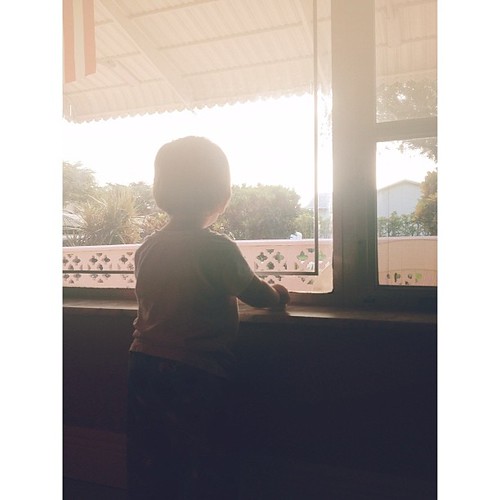 #latergram William watching Zachary leave for school in the morning. #pictapgo_app