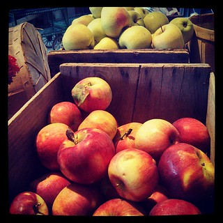 Day 15 #october #yarnpadc Edible - #apples at the #farmstand