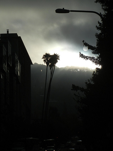 DSCN9200 _ Fog & Sun, Berkeley, CA