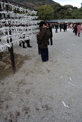 One scene of New Year's day in Kashihara Shinto shrine 2014 No.1.