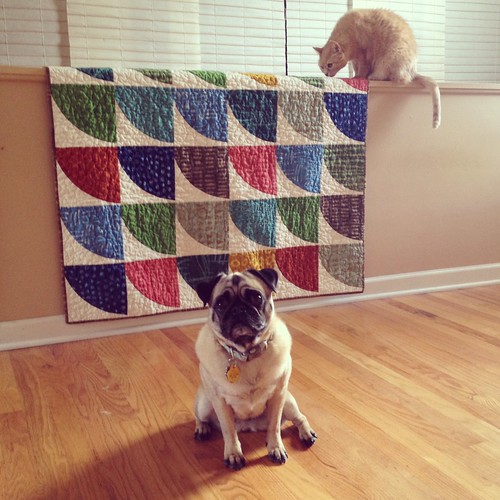 Snowdrift Quilt (and company)