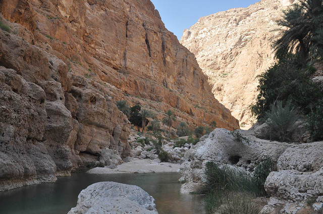 Wadi Shab (17)